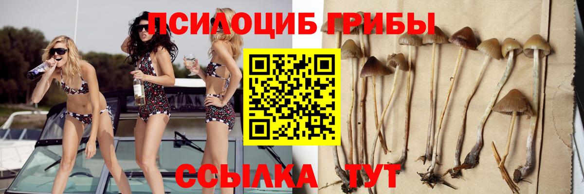 закладки  Псилоцибиновые грибы прущие грибы  Вход с VPN  Лабинск 